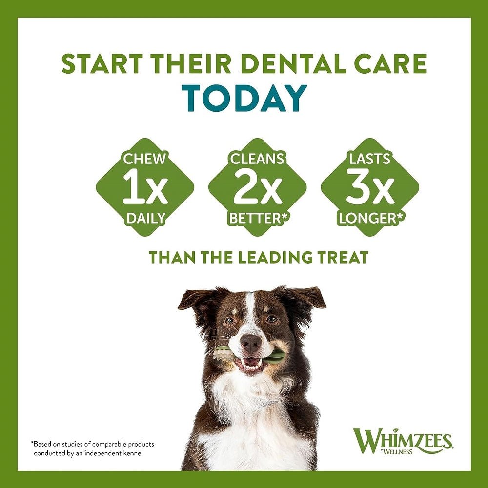 Vegetarian Toothbrush Dog Dental Treats - Image 6