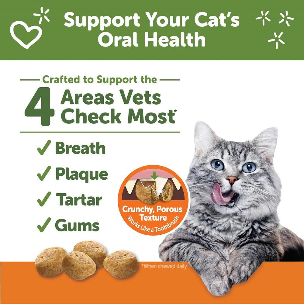 Chicken Cat Dental Treat - Image 2