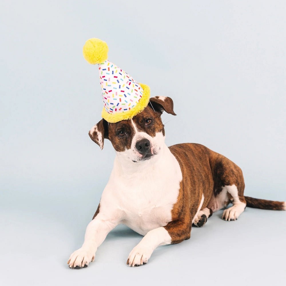 Birthday Hat Dog Plush Toy - Image 4