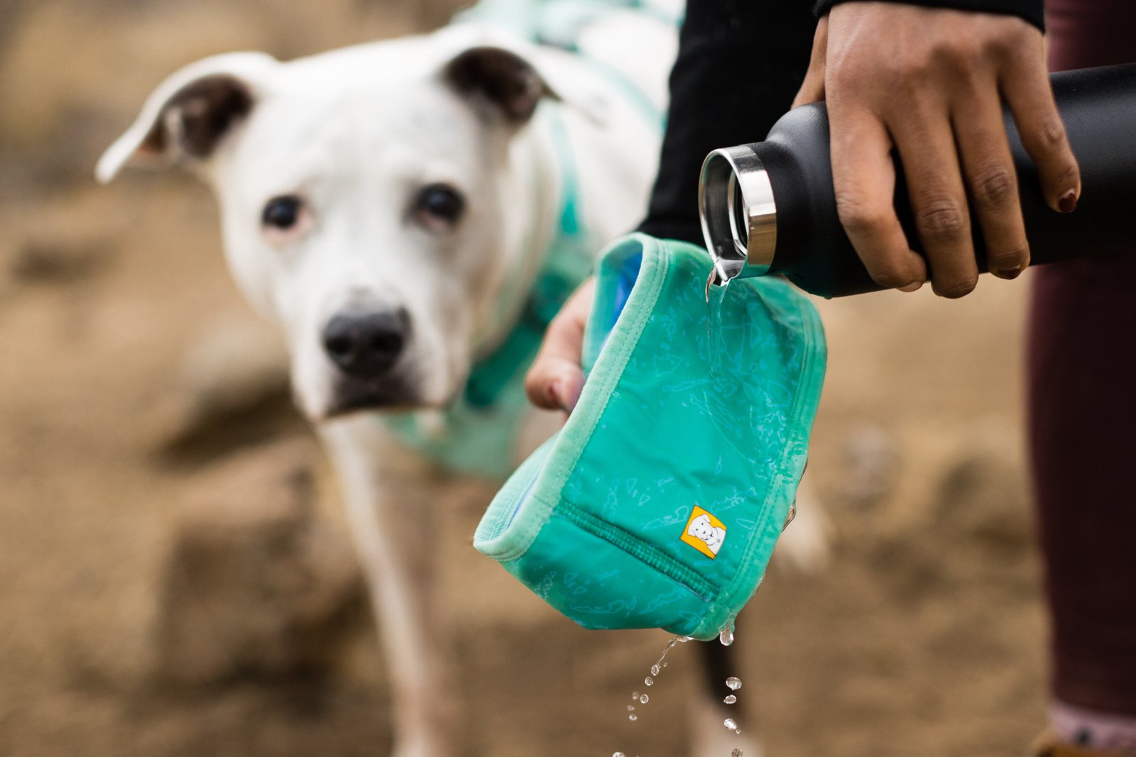 Ruffwear - Swamp Dog Cooling Neck Gaiter - Image 12