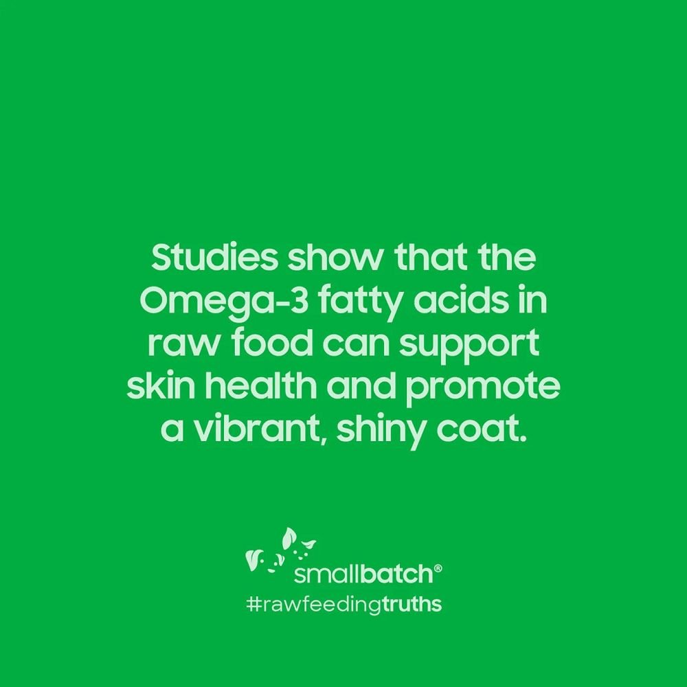 Freeze Dried Humanely Raised Beef Dog Food - Image 8