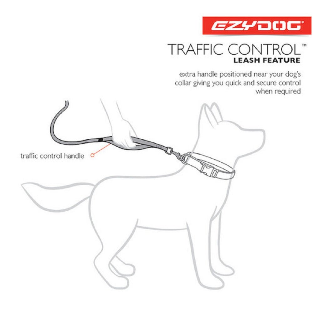 Road Runner Dog Leash - Image 12