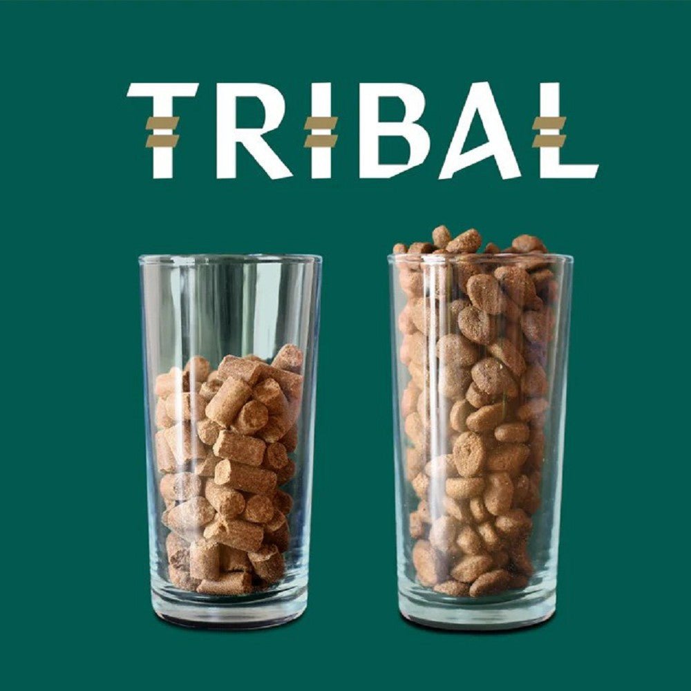 Cold Pressed Salmon Adult Dog Dry Food - Image 2