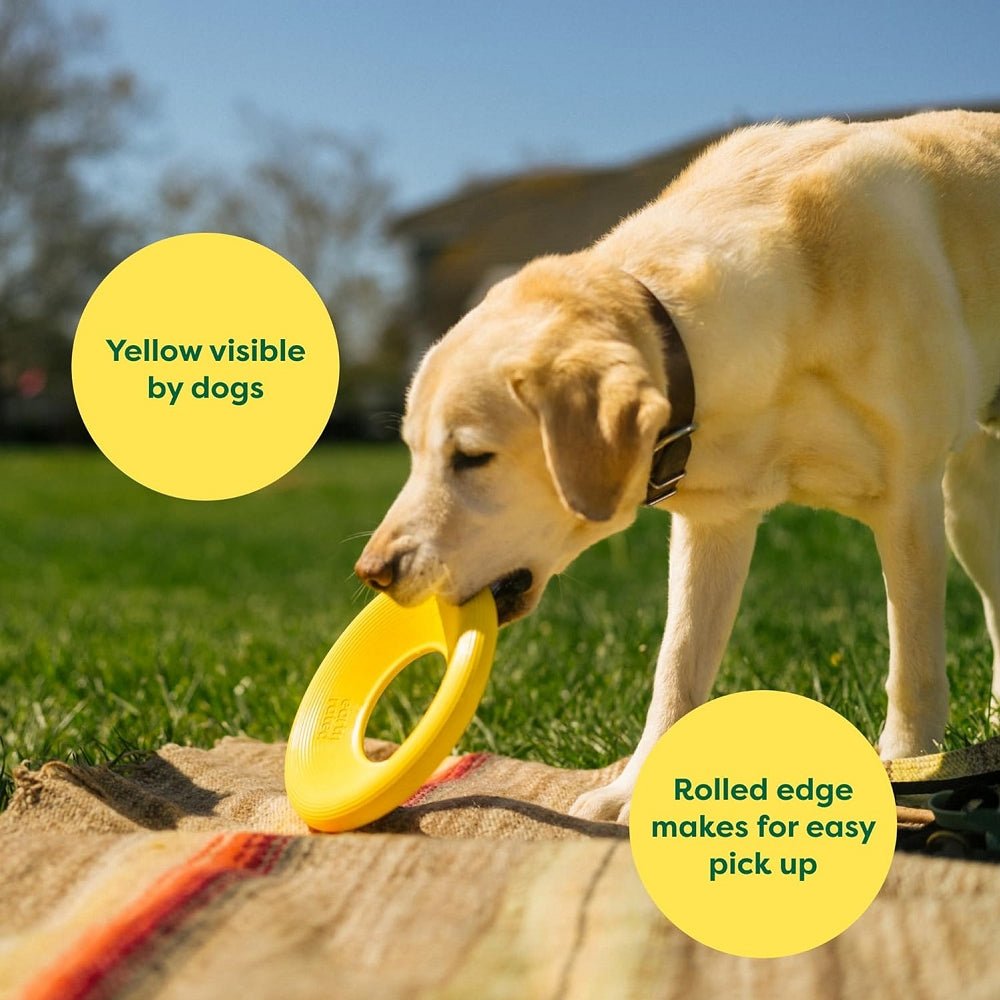 Natural Rubber Dog Flyer Toy - Image 5