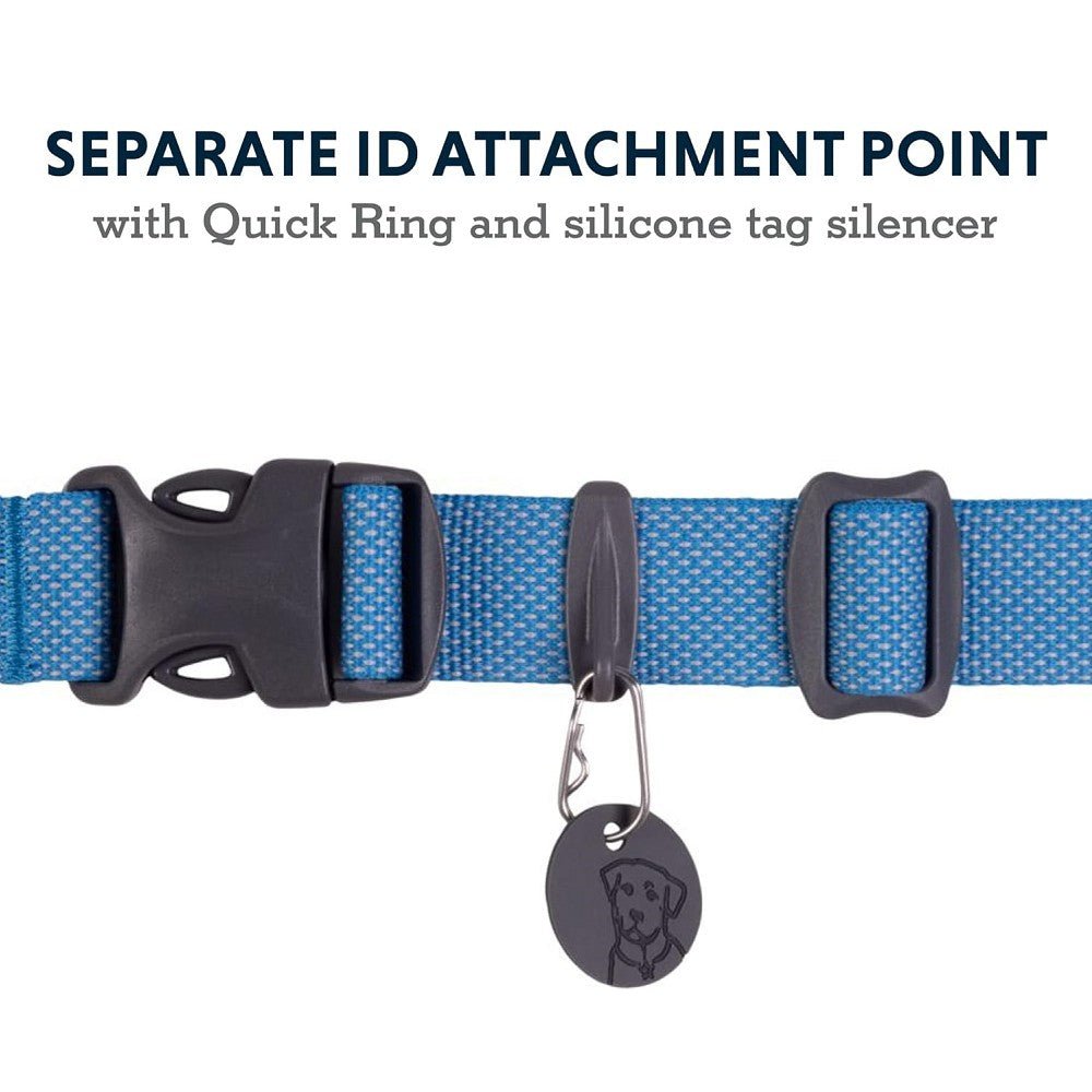 Hi & Light Dog Collar - Image 9