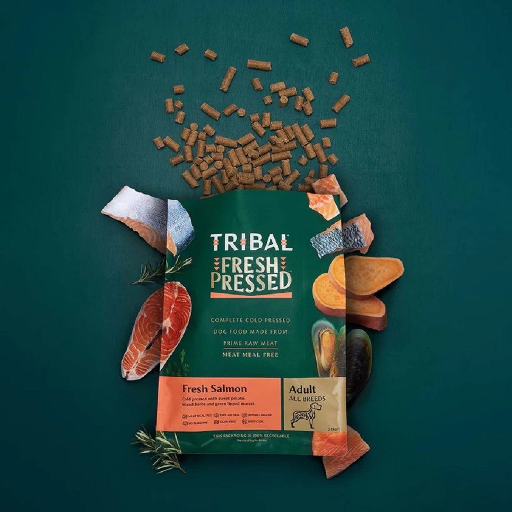Cold Pressed Salmon Adult Dog Dry Food - Image 3