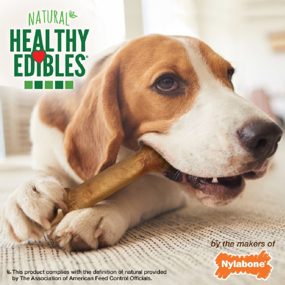 Healthy Edibles Bacon Flavor Dog Dental Chew - Image 7