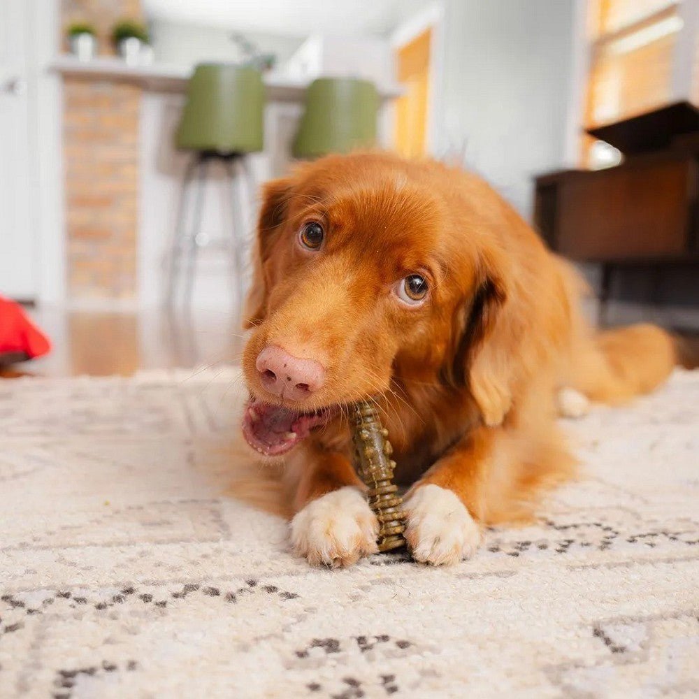 4 In 1 Dental Delights Stick for Dogs - Image 12