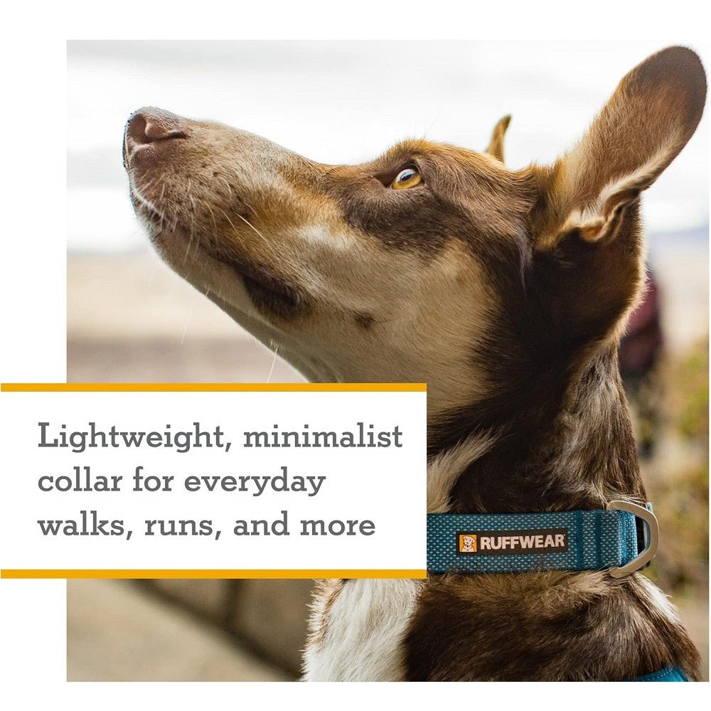 Hi & Light Dog Collar - Image 6