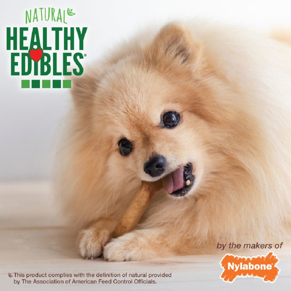 Healthy Edibles Bacon Flavor Dog Dental Chew - Image 8