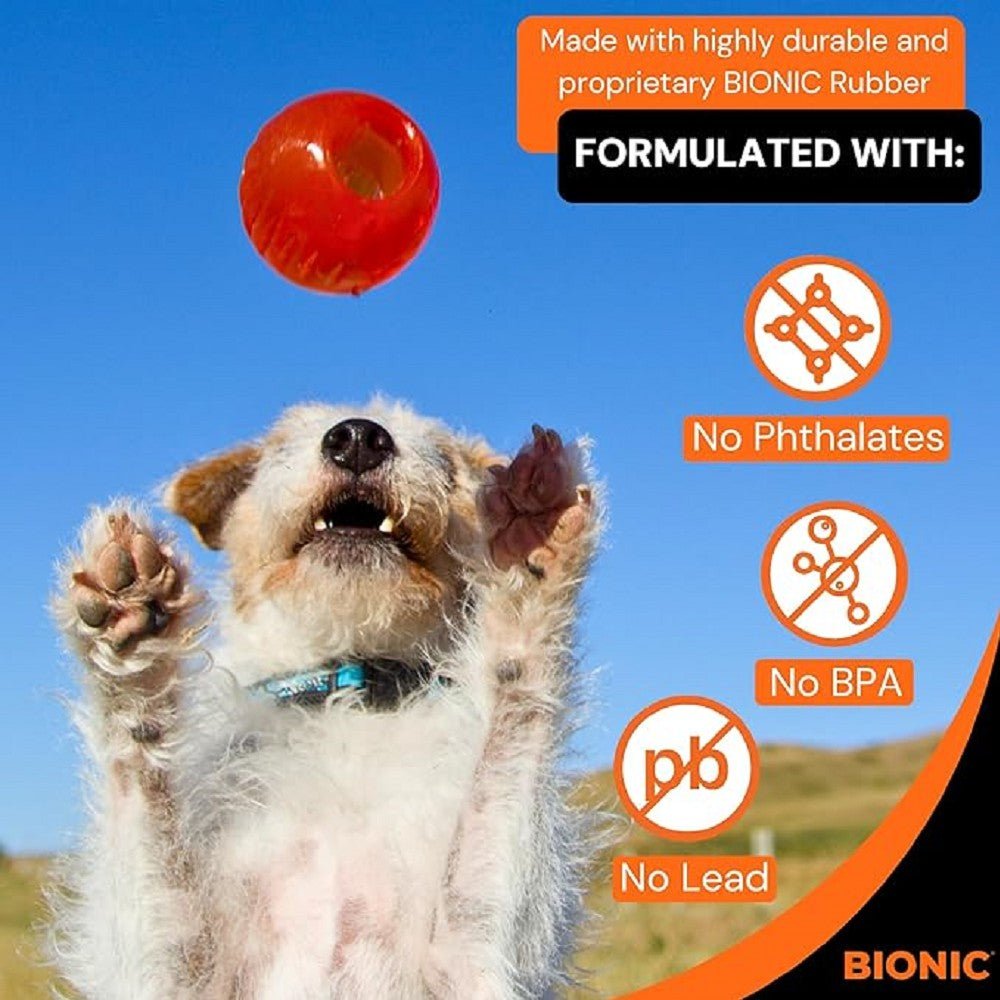 Bionic Ball Dog Toy - Image 6