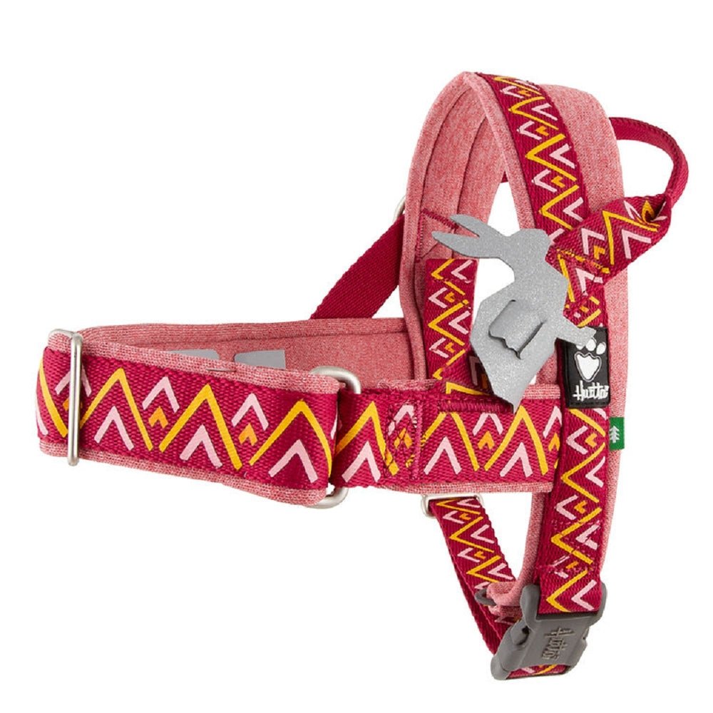 Razzle Dazzle Nordic Dog H-Harness - Image 8