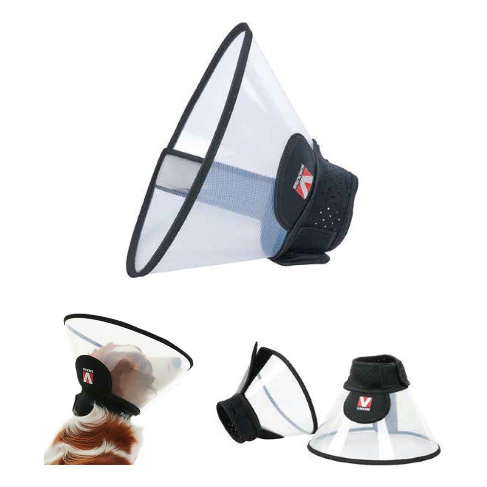Complete Dog Collar - Image 4