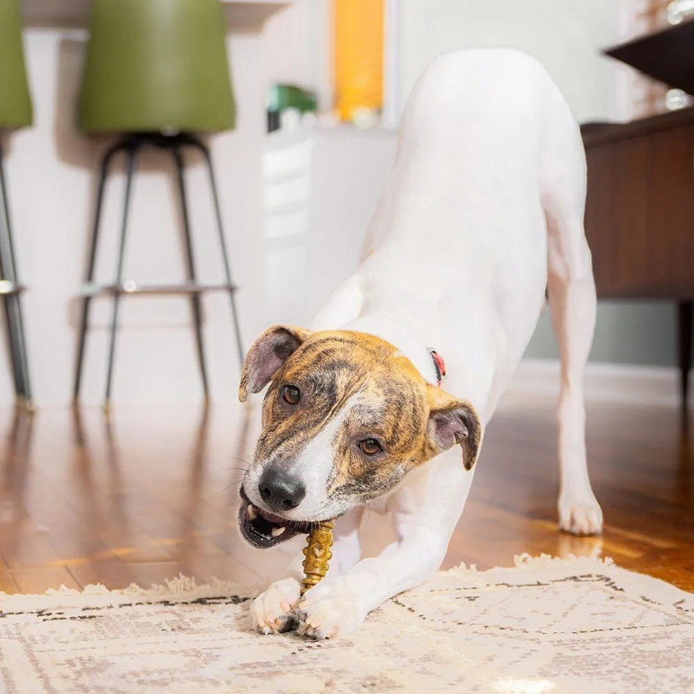 4 In 1 Dental Delights Stick for Dogs - Image 11