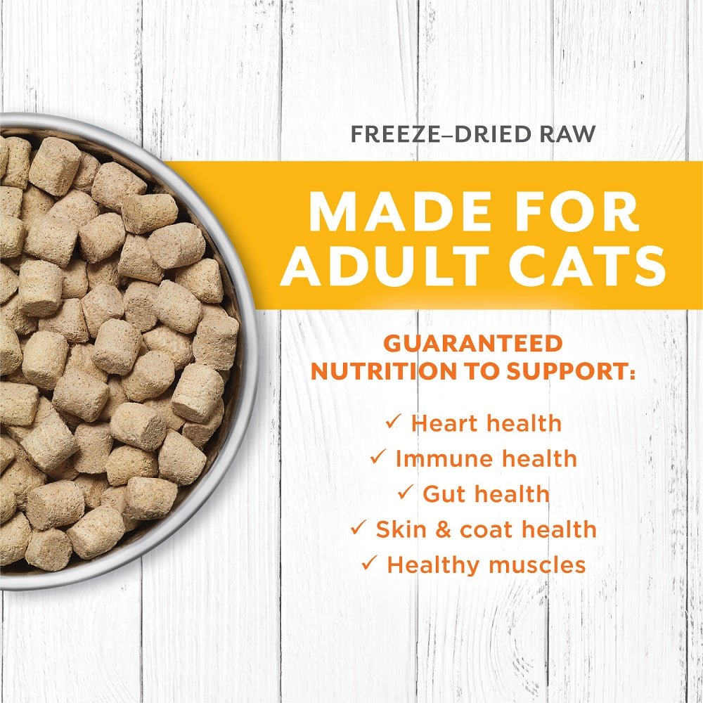 Raw Longevity Freeze Dried Raw Meals - Chicken Cat Food - Image 2
