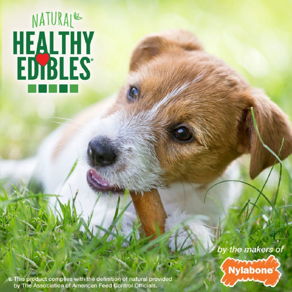 Healthy Edibles Bacon Flavor Dog Dental Chew - Image 9