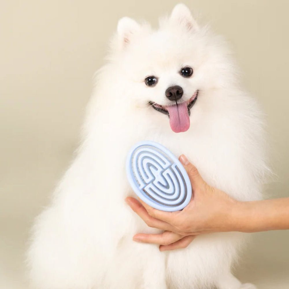 Everyday Brush for Dogs & Cats - Image 2