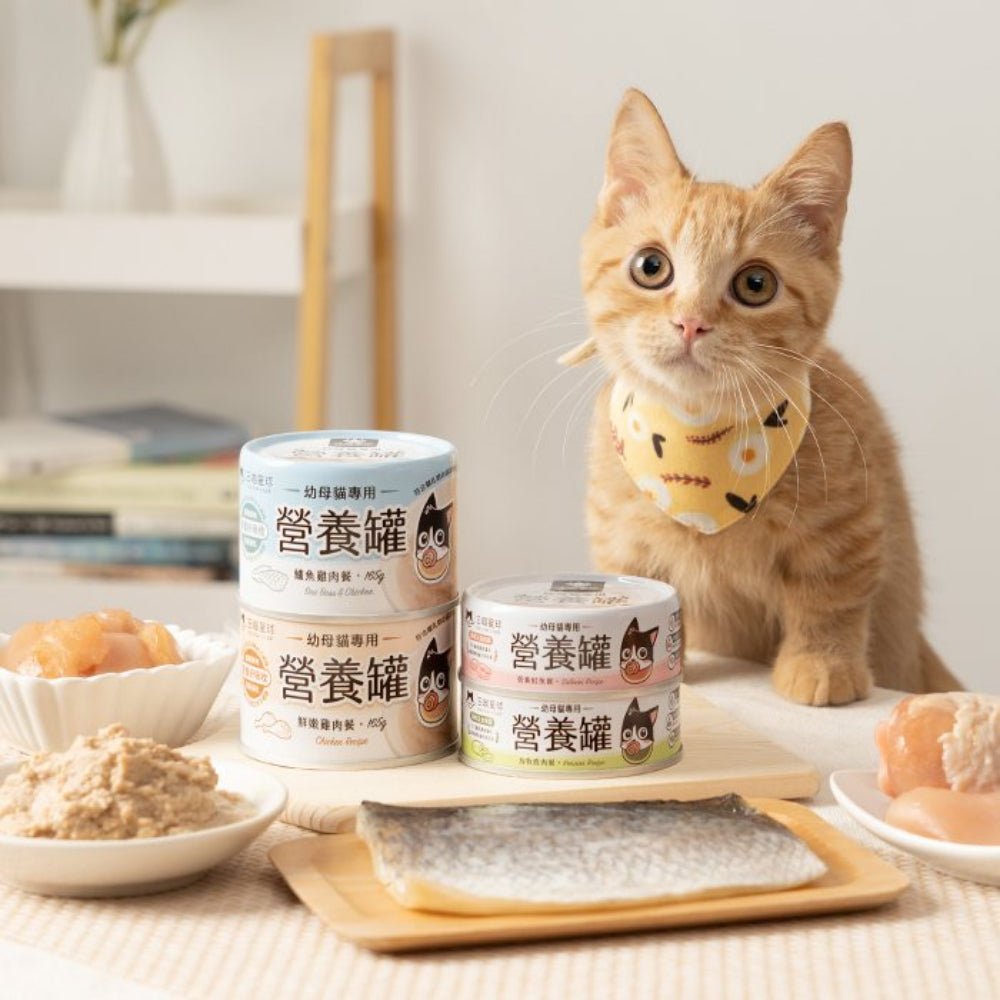 Salmon Complete Balanced Kitten Cat Can - Image 3