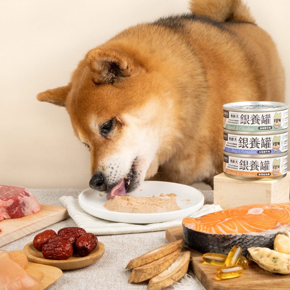 Salmon & Chicken Complete Balanced Senior Dog Can - Image 4