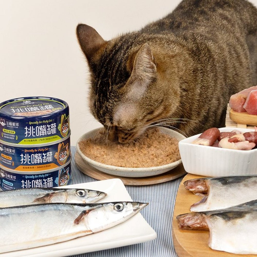Specially for Picky Cat - Salmon & Bonito Complete Balanced Cat Can - Image 4