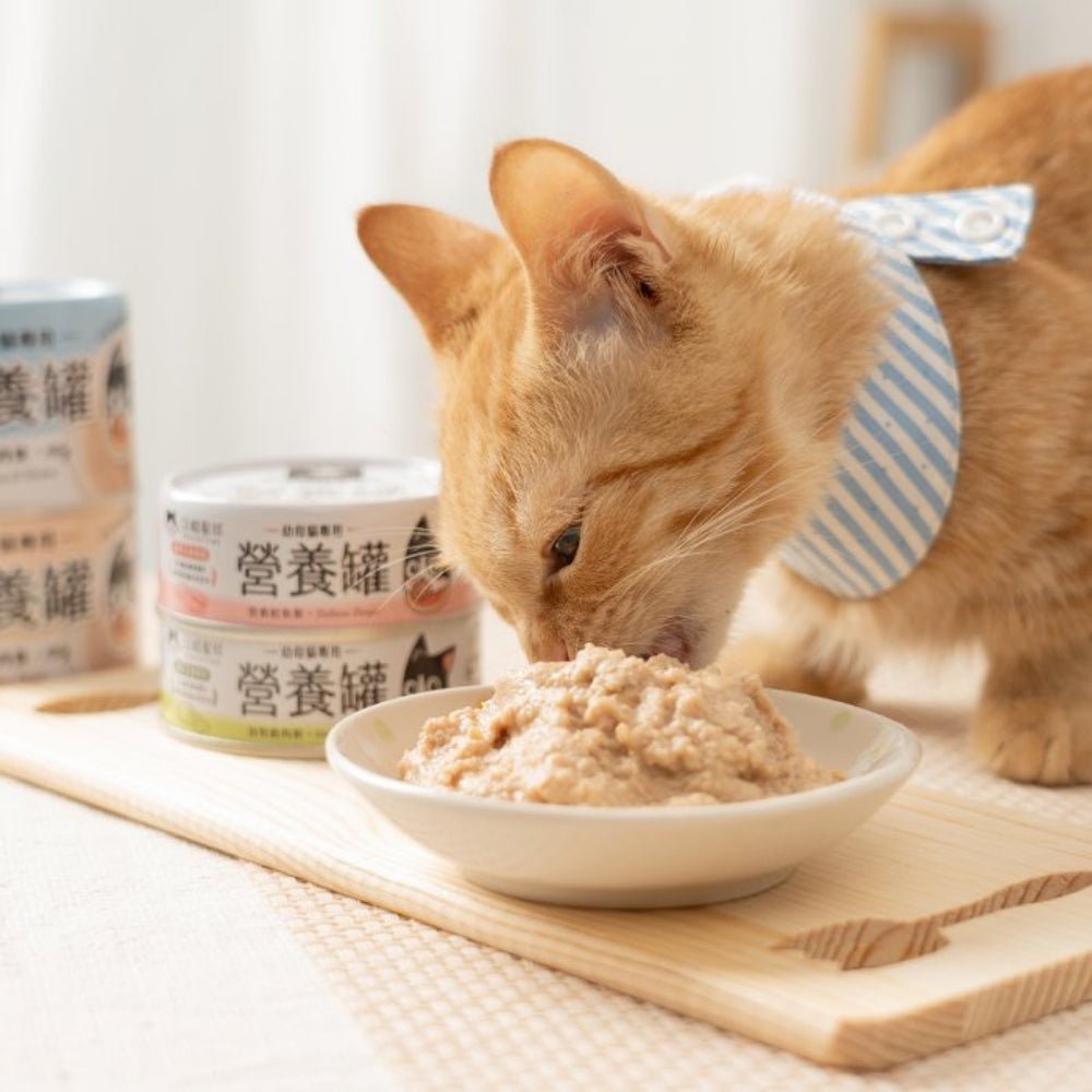 Salmon Complete Balanced Kitten Cat Can - Image 4