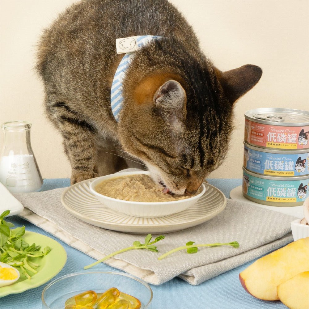 Health Care - Low Phosphorus Chicken Complete Balanced Cat Can - Image 4