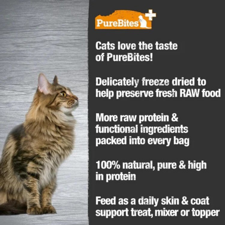 Functional Skin & Coat Freeze Dried Cat Treats - Image 3