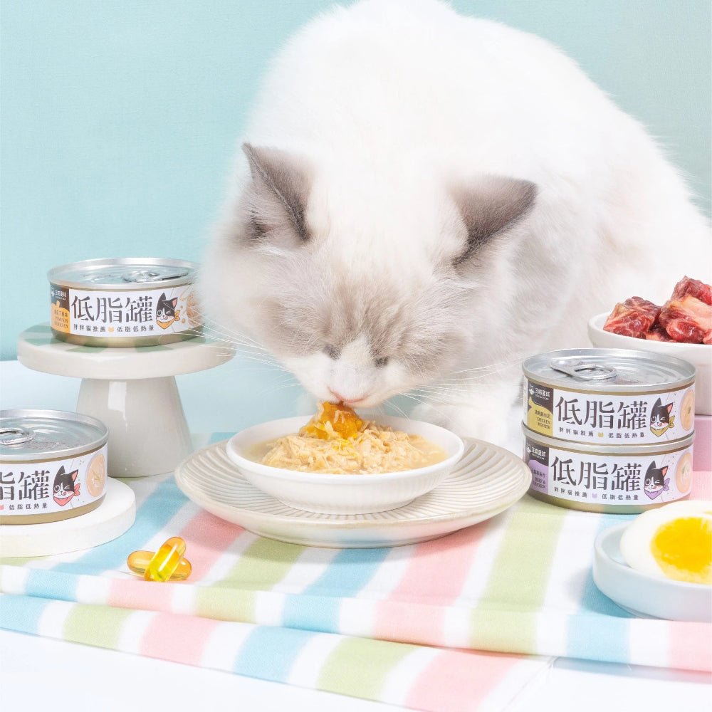 Milkfish & Bonito Complete Balanced Cat Can - Image 2