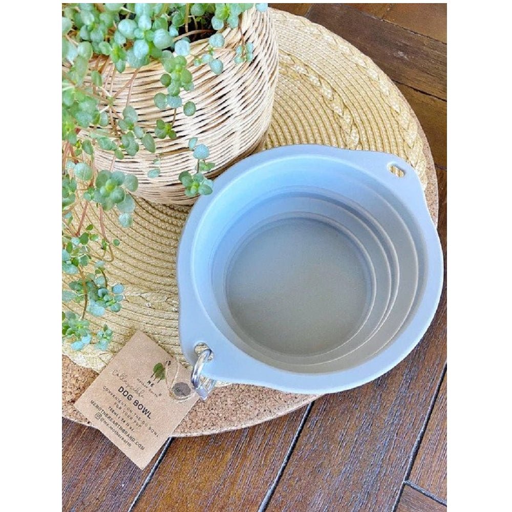 Pet Bowl - Image 6