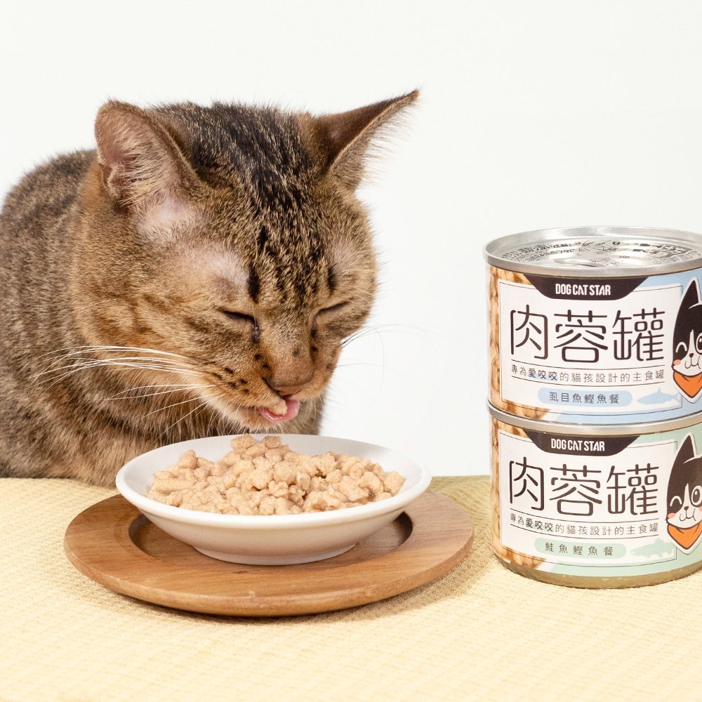 Mini-Meat-Ball - Chicken Complete Balanced Cat Can - Image 5