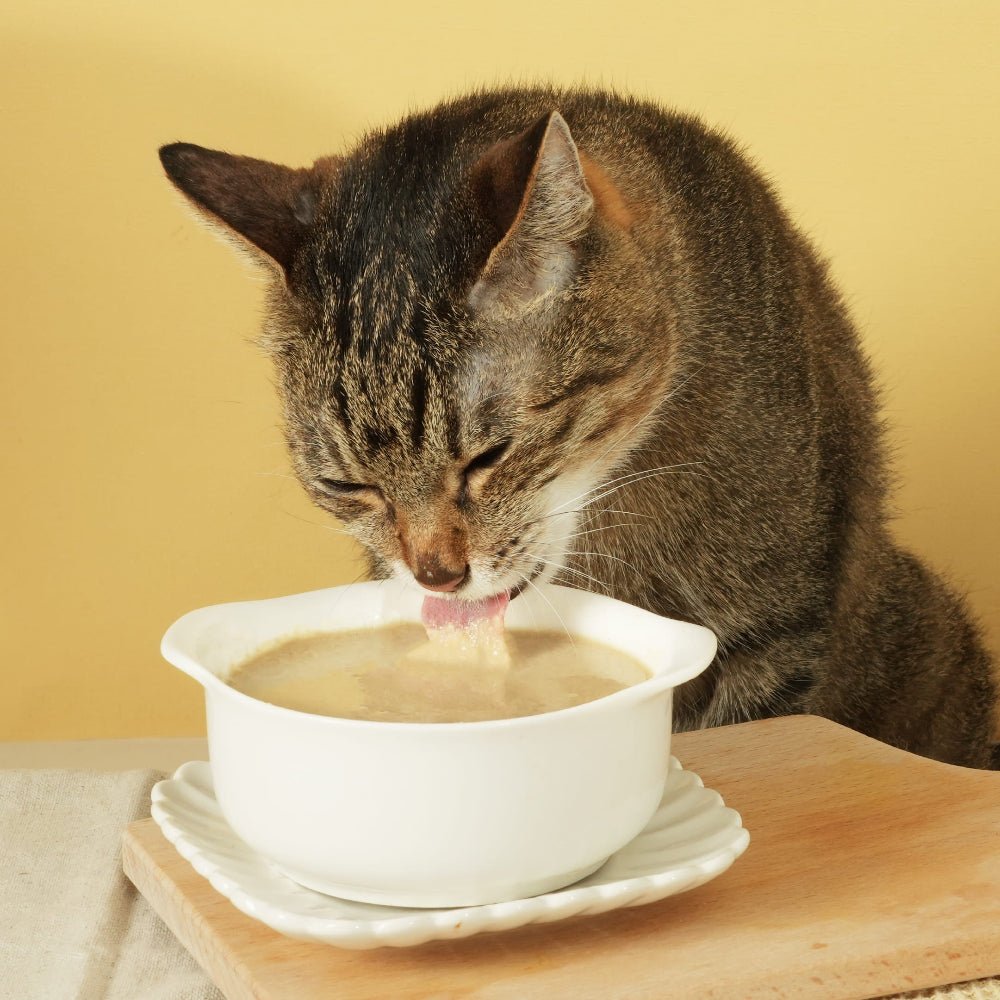 Creamy Puree - Fresh and Sweet Milkfish Cat Can - Image 5