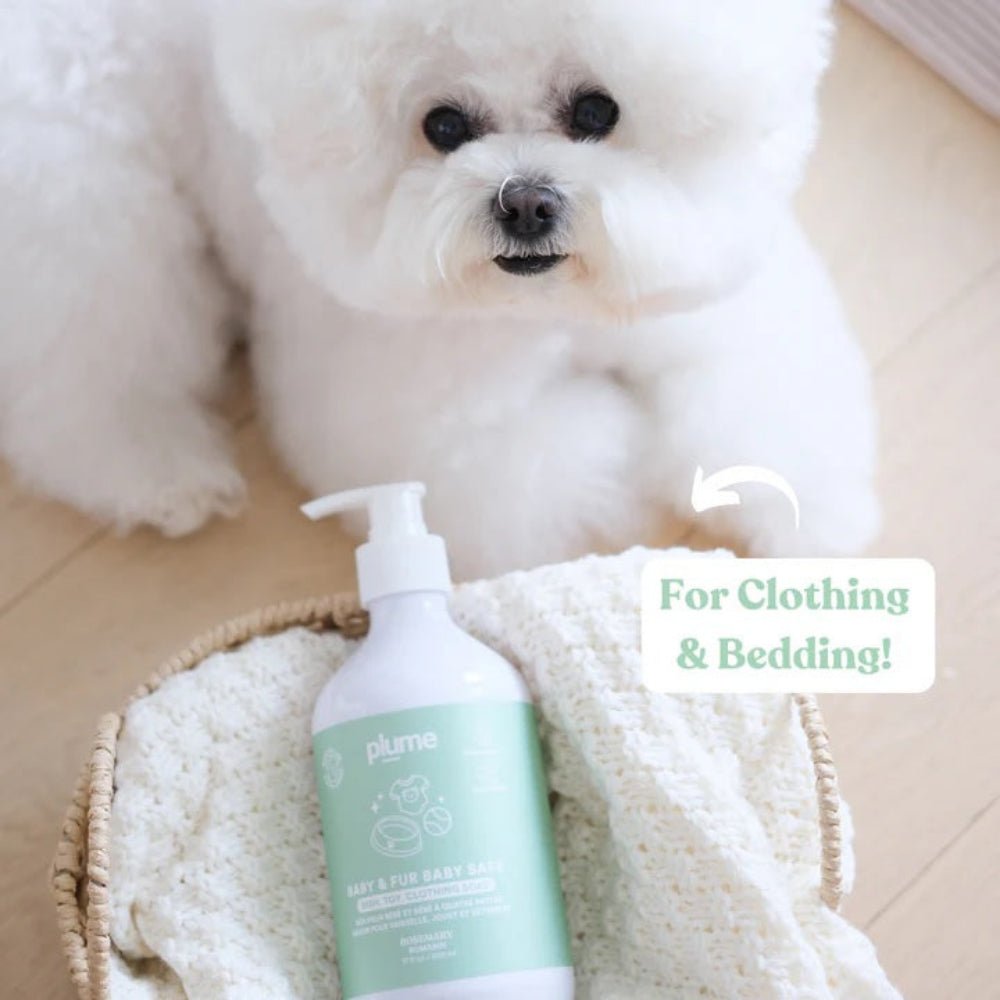 Dish, Toy & Clothing Soap - Image 4