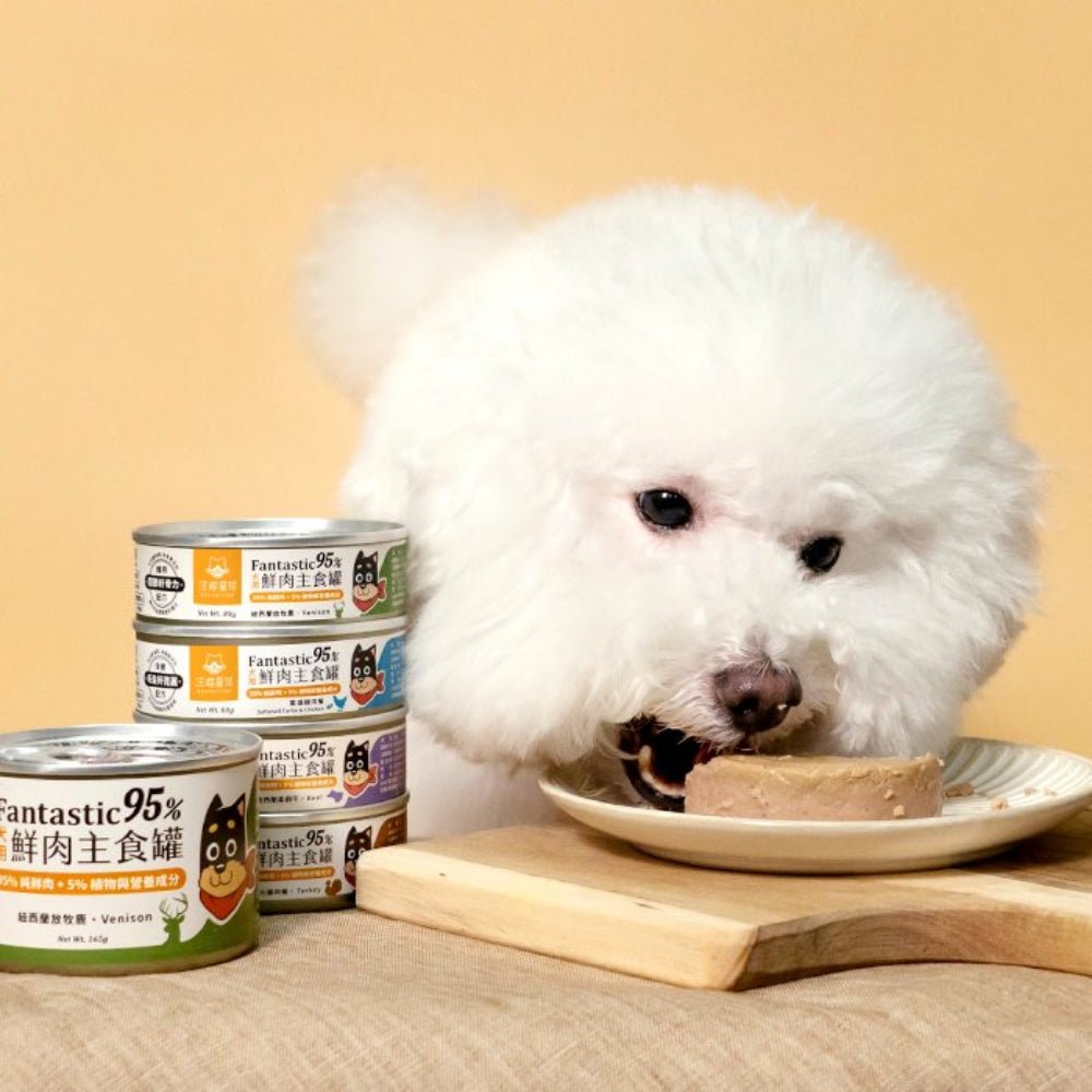 Fantastic 95% - Softshell Turtle & Chicken Complete Balanced Dog Can - Image 5