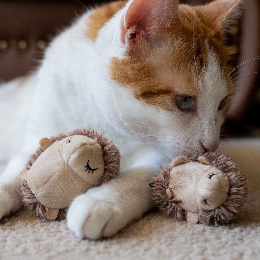 Forest Friends - Hedgehog Cat Toy Set - Image 5