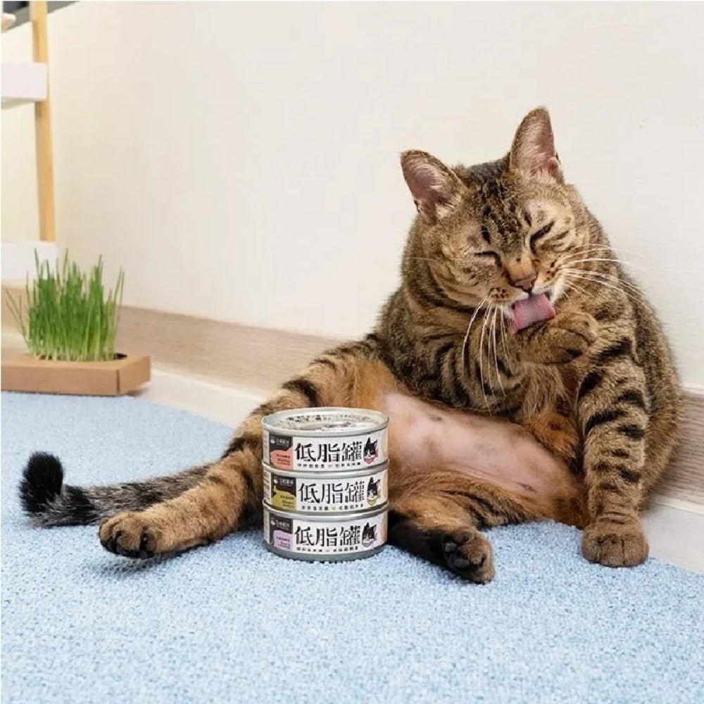 Milkfish & Bonito Complete Balanced Cat Can - Image 4