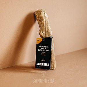 Coffee Tree Stick Dog Chew - Image 5