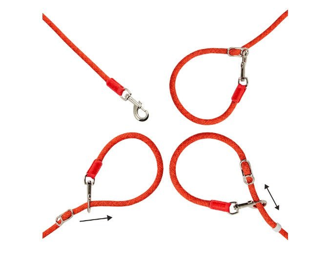 Leisure Collar & Slip Leash - Image 6