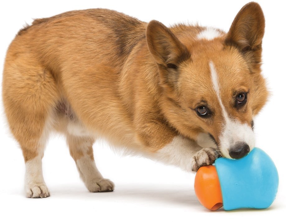 Toppl Dog Treat Toy - Image 19