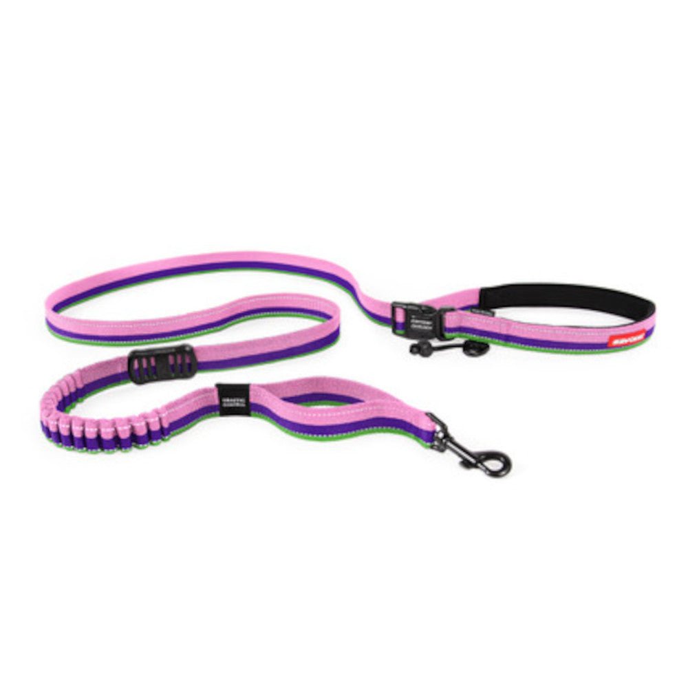 Road Runner Dog Leash - Image 15