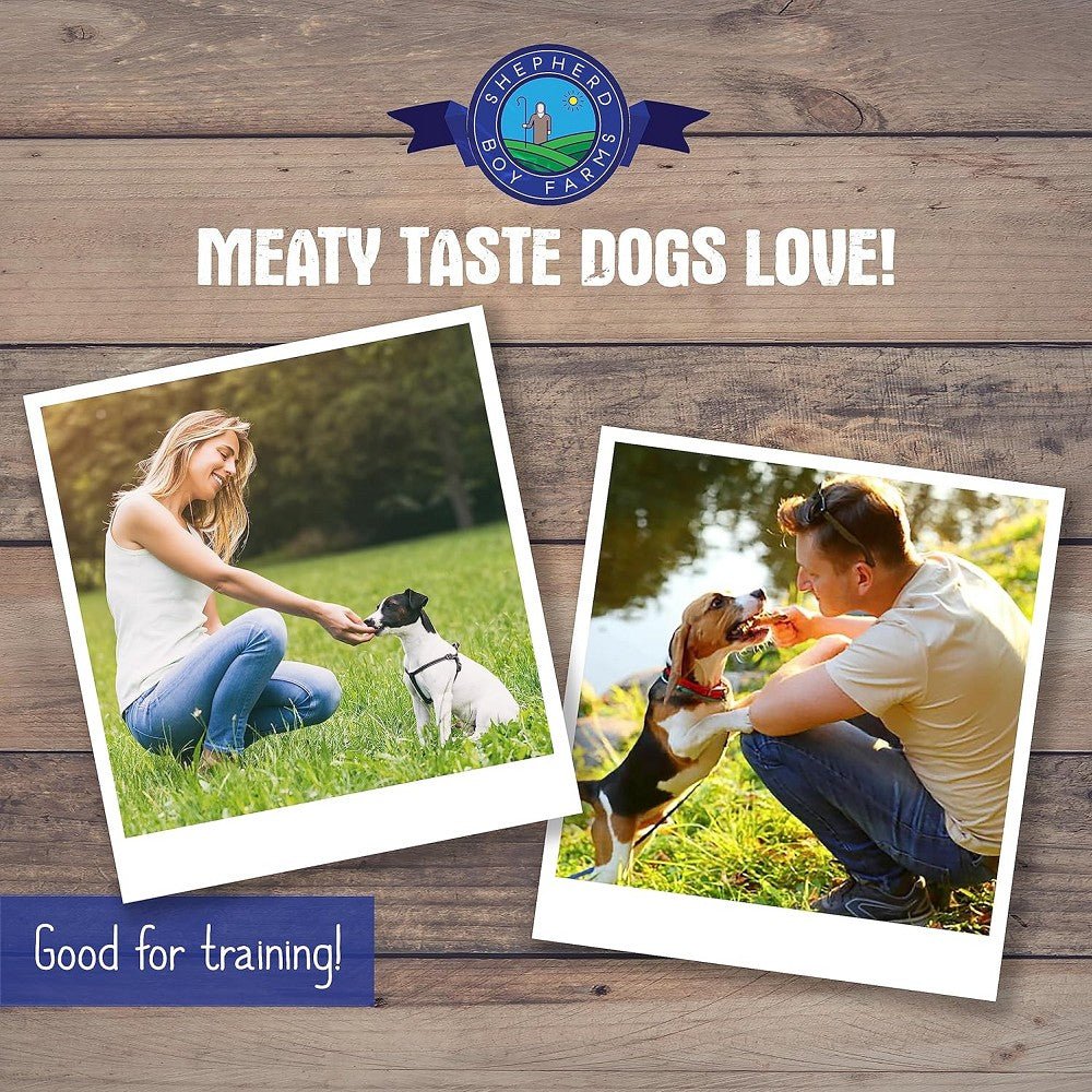 Freeze Dried Chicken Hearts for Dogs & Cats - Image 4