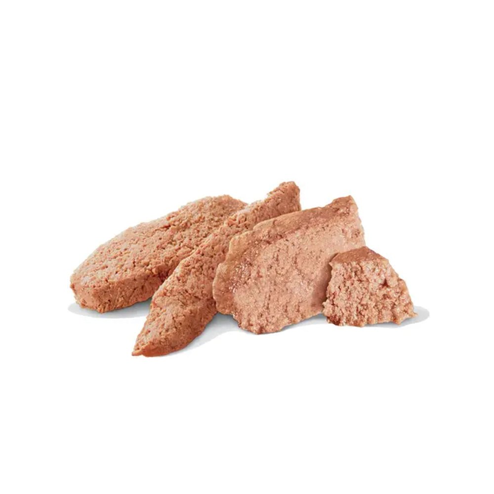 VHN Hypoallergenic Dog Can - Image 2