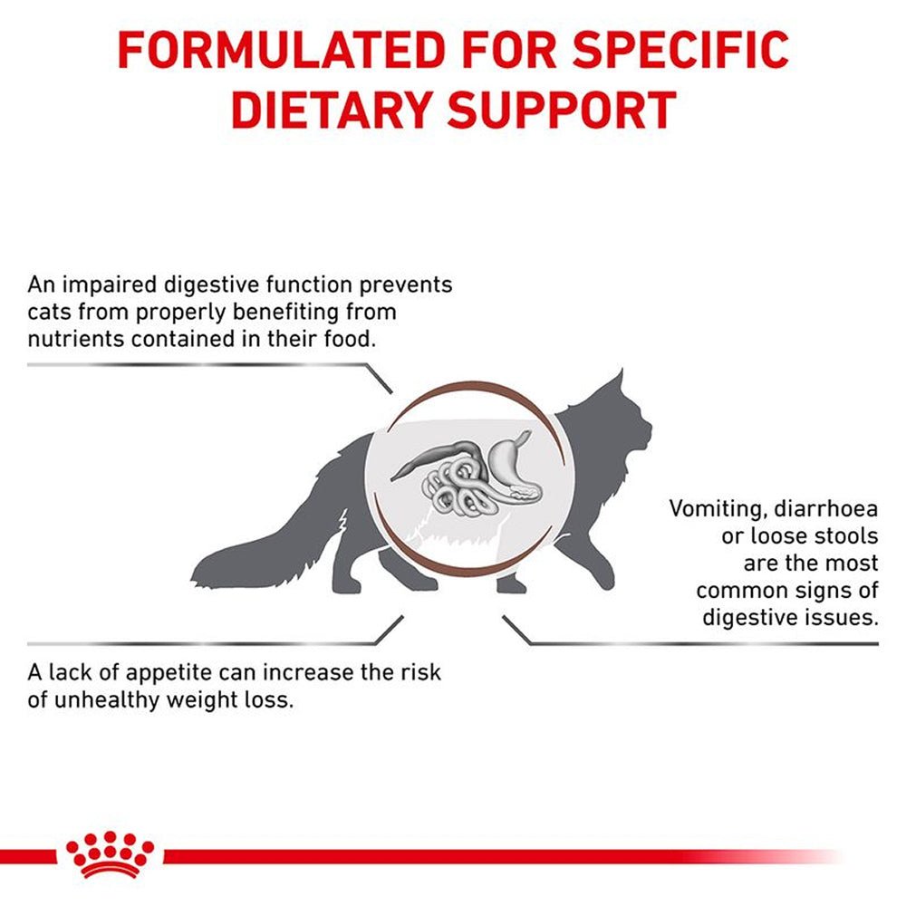 VHN G-I Adult Cat Dry Food - Image 2
