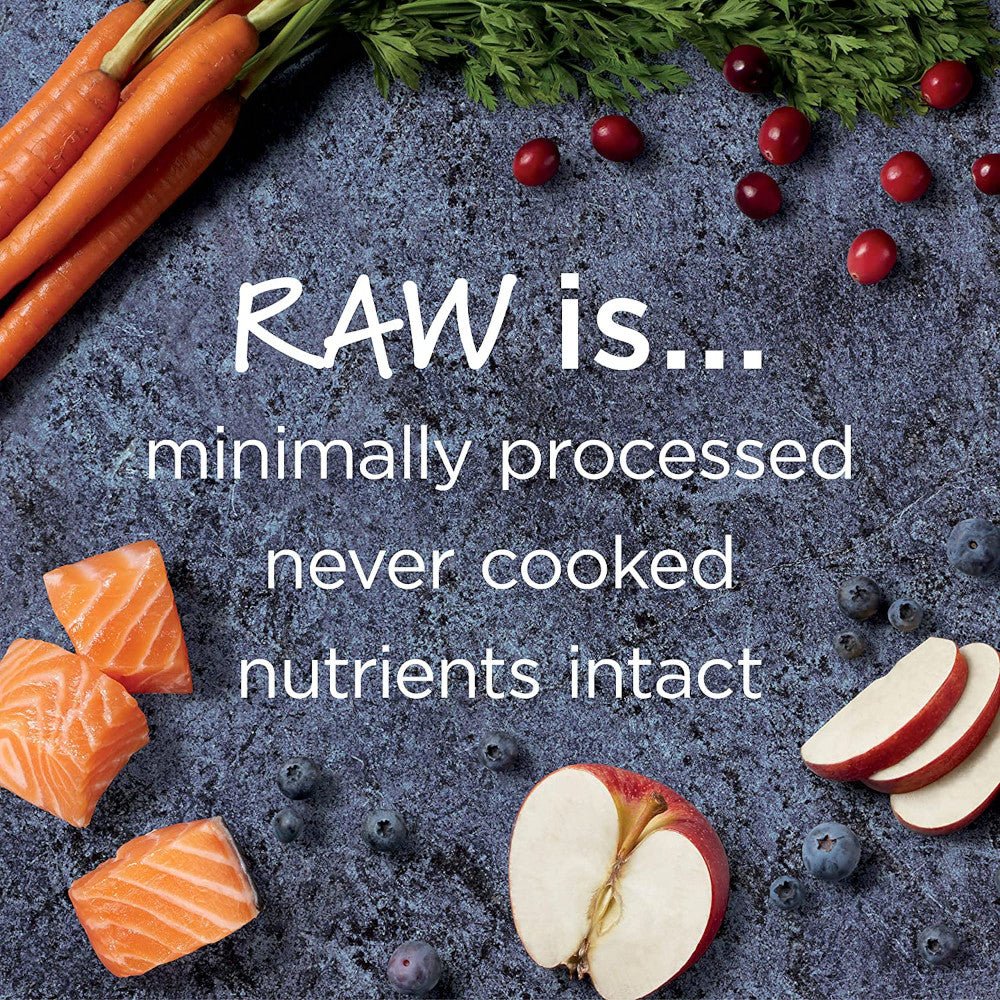 Raw Boost Grain Free Kibble Cat Dry Food - Salmon - Image 3