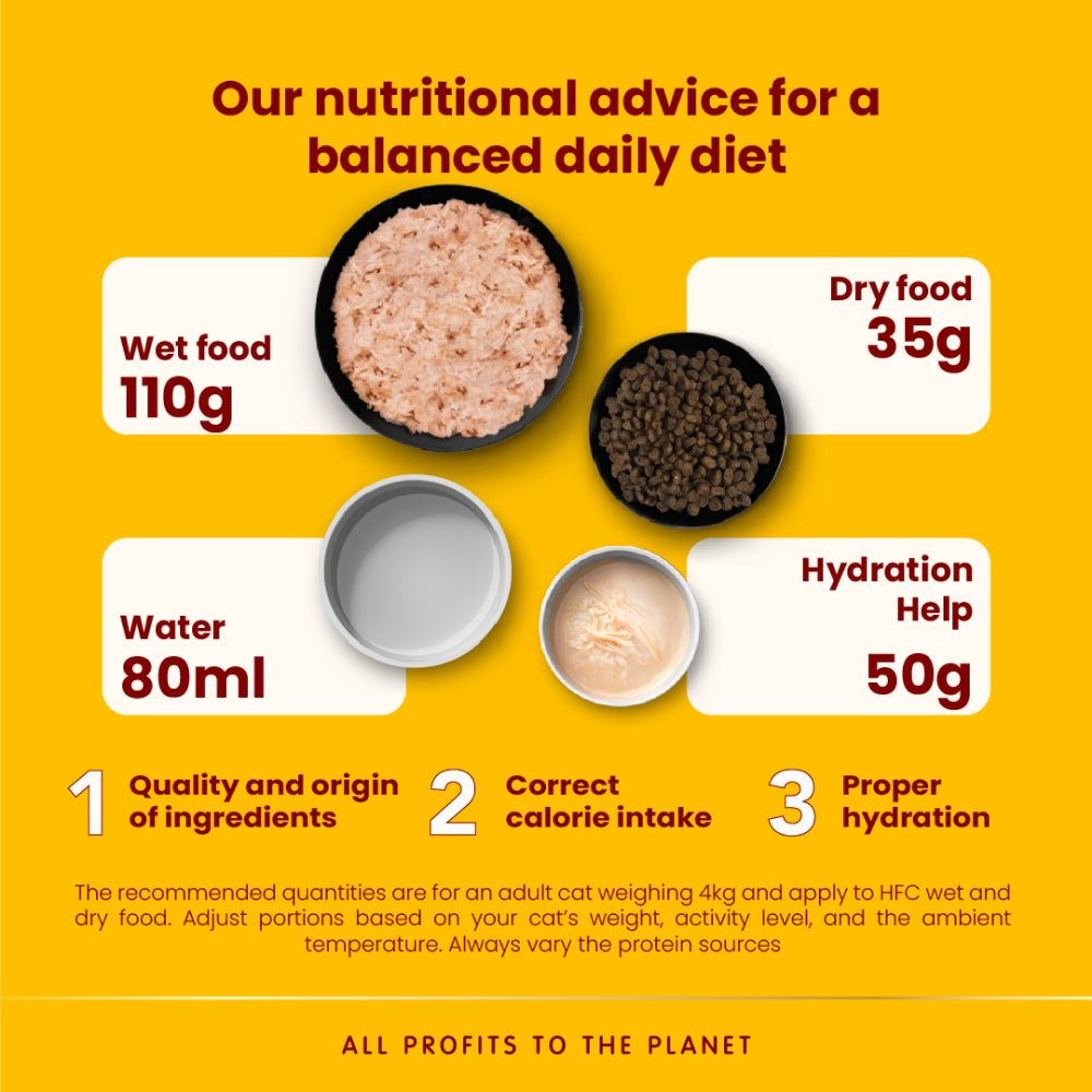 HFC Hydration Help Tuna Broth with Tuna Fillet Cat Food - Image 4