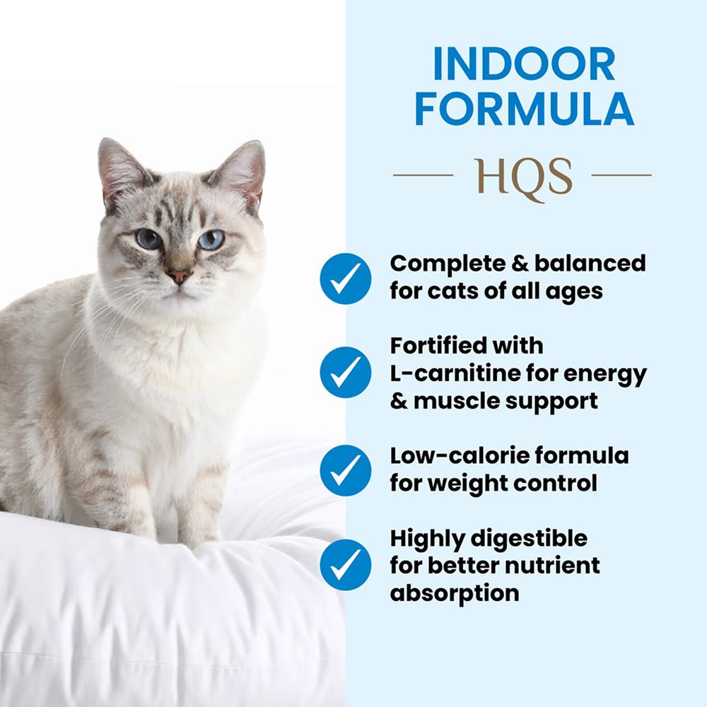 HQS Supportive Indoor Formula - Chicken Recipe In Gravy Adult Cat Food - Image 5