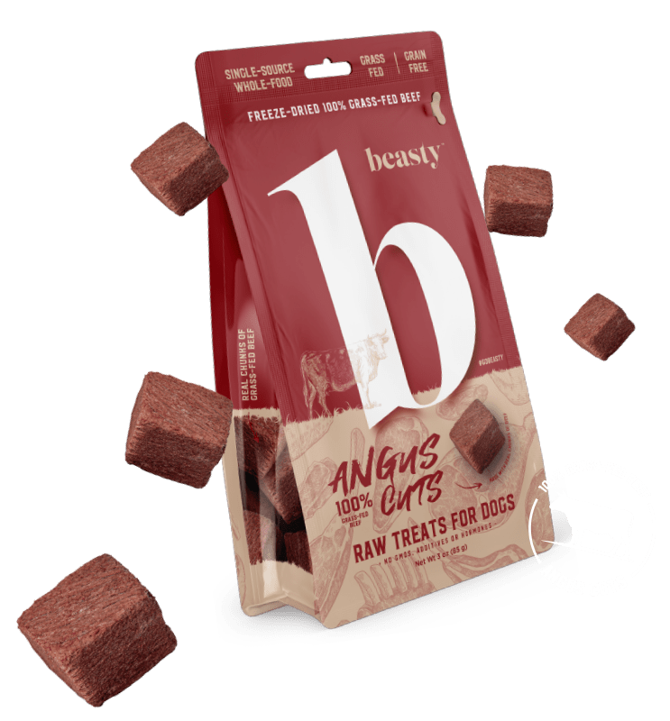 Freeze Dried Angus Cuts Dog Treats - Image 2