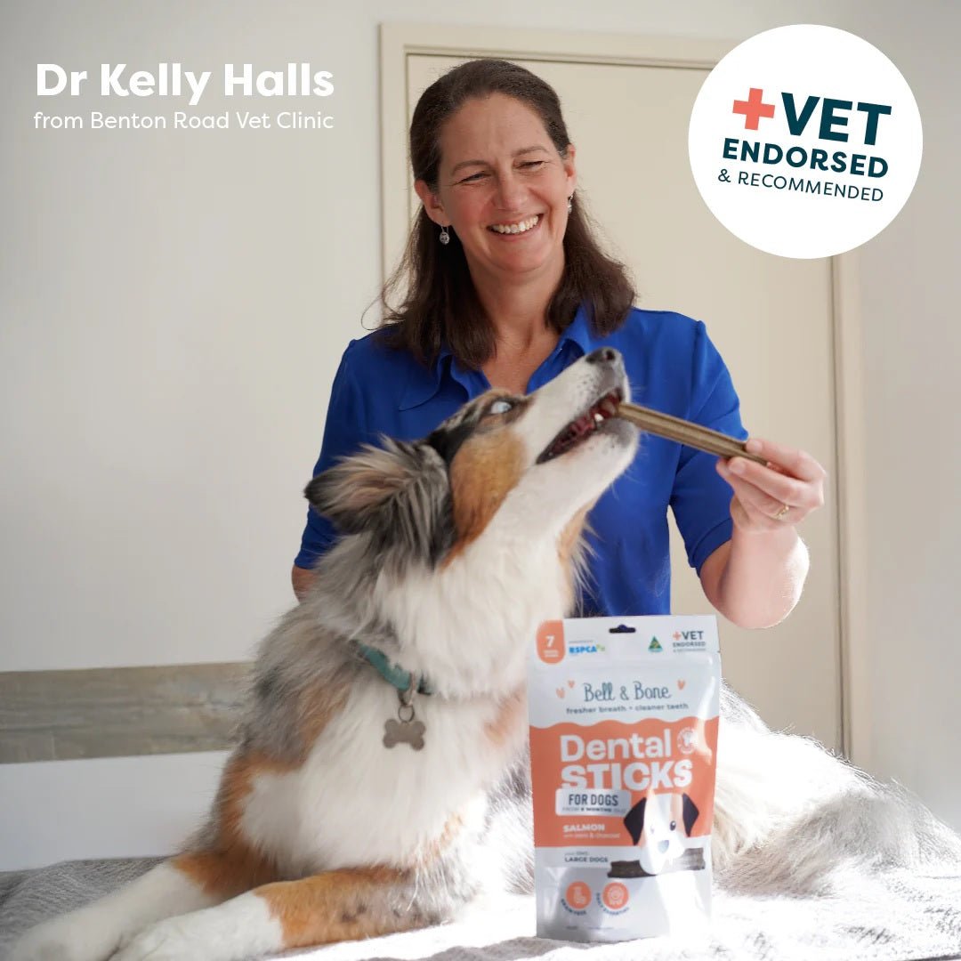 Bell & Bone - Salmon with Mint & Charcoal Dog Dental Treats - Image 6