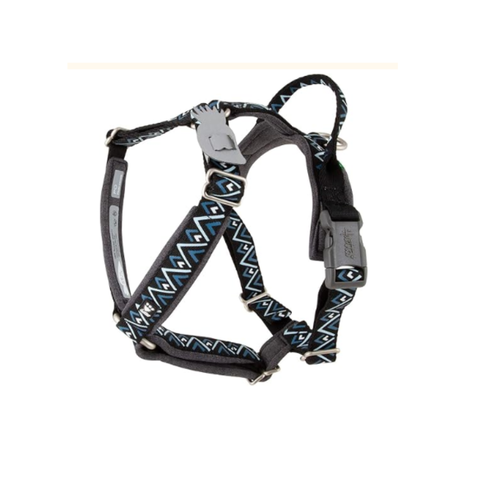 Razzle Dazzle Dog Y Harness - Image 3
