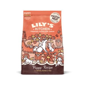 Chicken & Salmon Puppy Dry Food