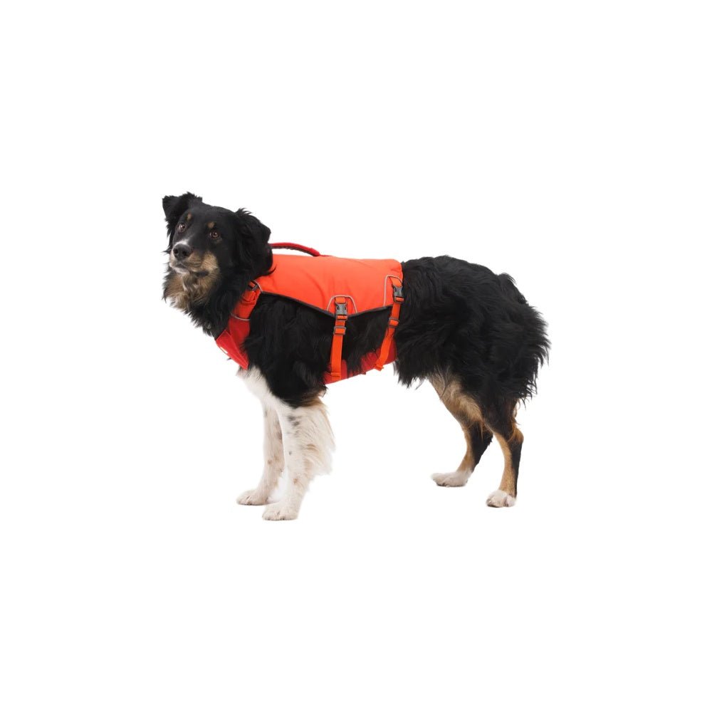 Confluence Dog Life Jacket - Image 11